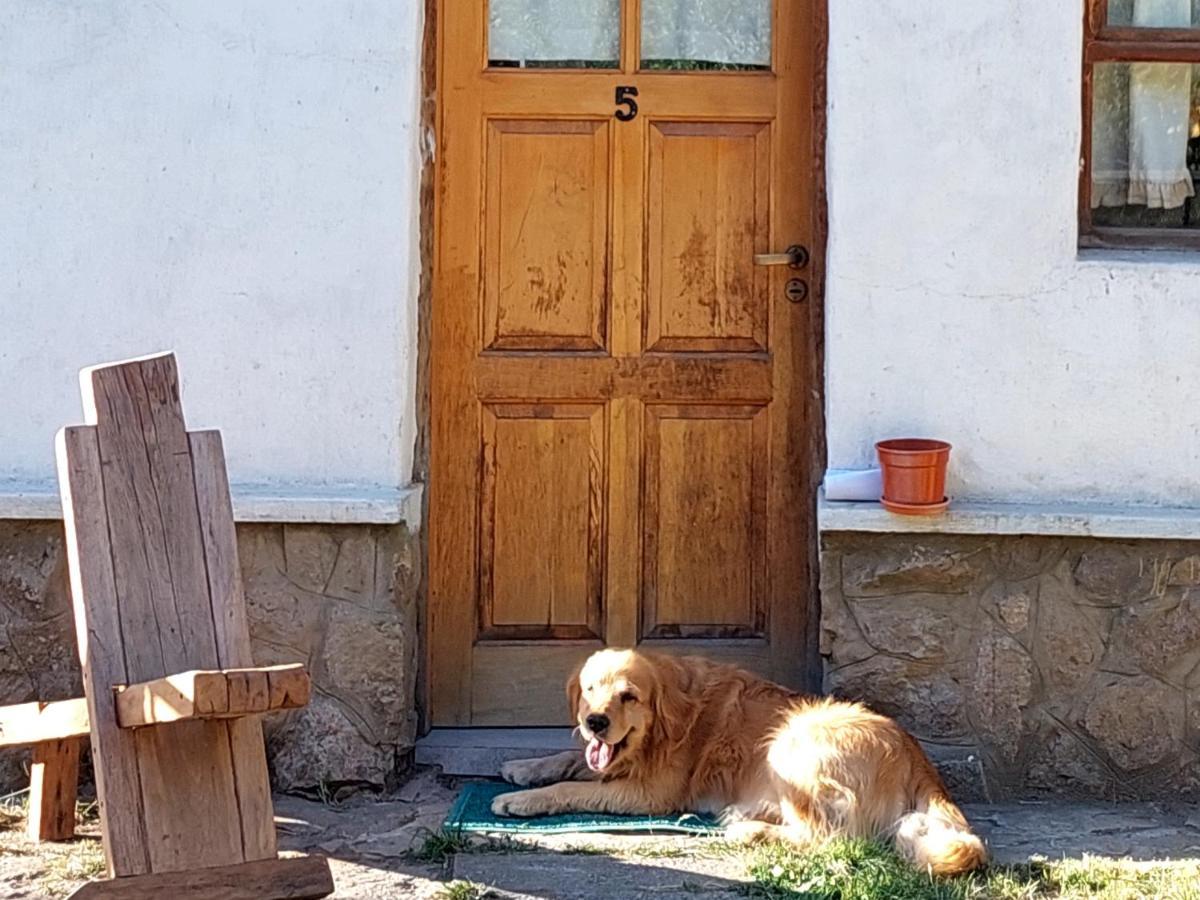 Buena Onda I Villa San Martín de los Andes Екстериор снимка