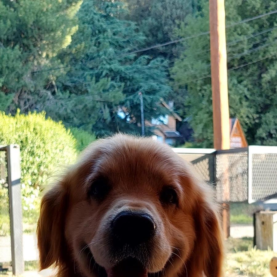 Buena Onda I Villa San Martín de los Andes Екстериор снимка